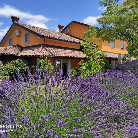 Appartement Apartma Lavanda *