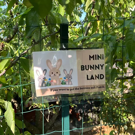 Apartma Lavanda Apartma Koper