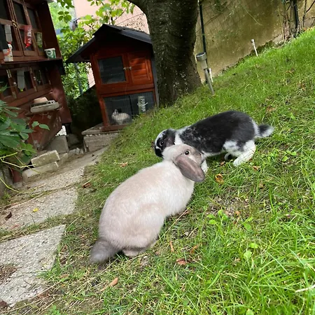 Apartamento Apartma Lavanda