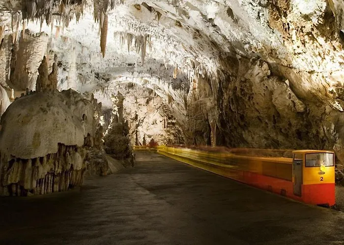 Апартаменты Apartma Lavanda Копер