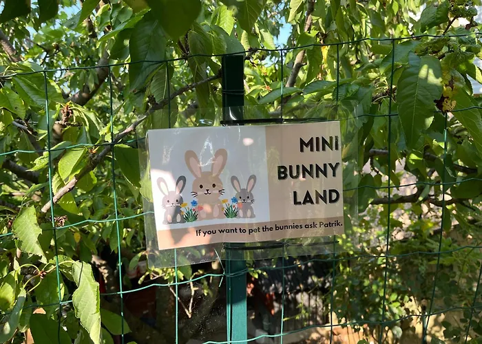 Apartma Lavanda Апартаменты Копер